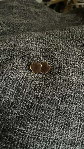 Paire de boucles d'oreille