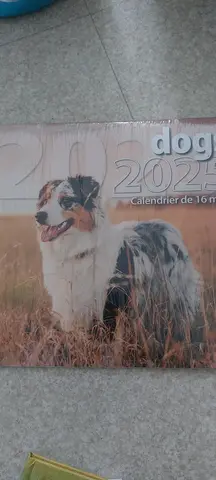 calendrier