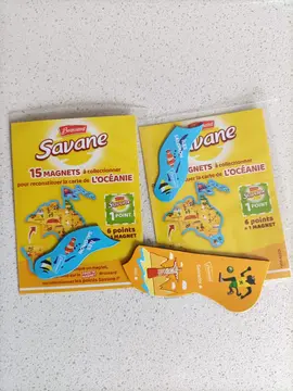 magnets savane