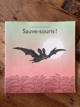 dauve-souris ! - Ecole des max
