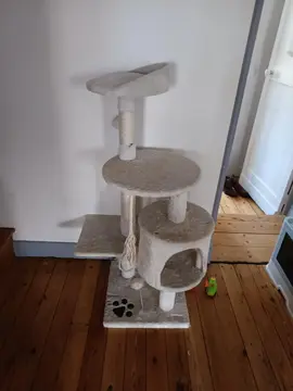 arbre a chat