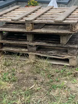 palettes de bois