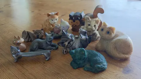 collection de petits chats