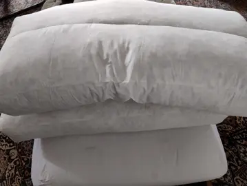 2 coussins (plumes, 1m long)
