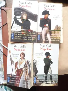 Vie de Napoléon par Max Gallo