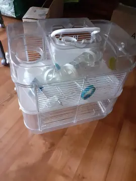 cage a hamster