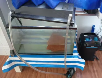 aquarium 50cm avec filtre