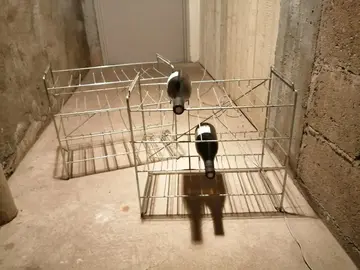 2 petits casiers à bouteille