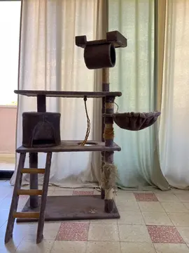 Arbre à chat