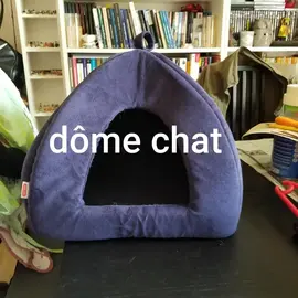 dôme chat