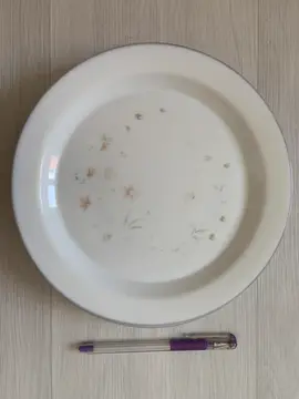 4 assiettes plates