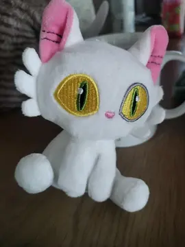 peluche