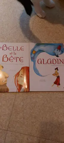 livre enfant