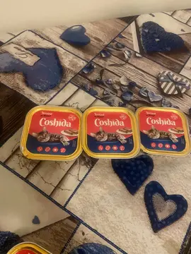 pâté pour chat