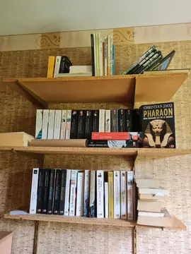 lot de livres (tous genres, vieux et récents)