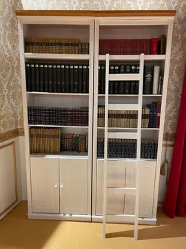 Encyclopédie Larousse en 20 volumes