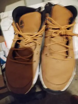 Chaussure timberland