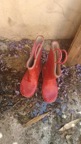 bottines et bottes plastique