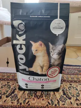 Croquettes pour chaton