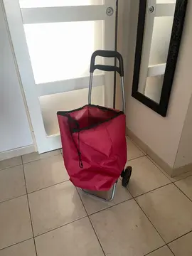 chariot à roulettes pour faire les courses