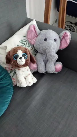 peluche