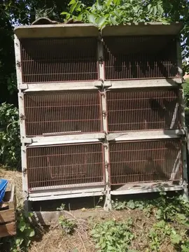Cages à lapins