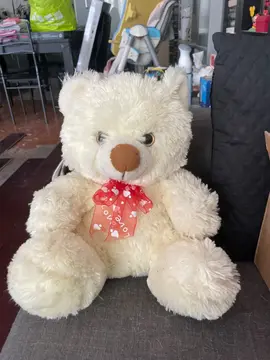 ours en peluche