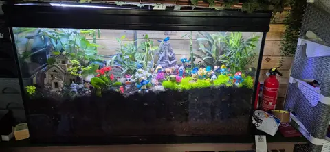 aquarium