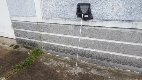 Epuisette