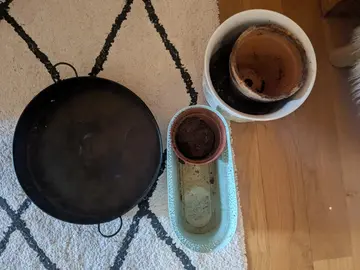 lot de 3 pots de fleur