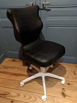 Chaise de bureau
