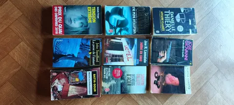 Lot 9 romans policiers