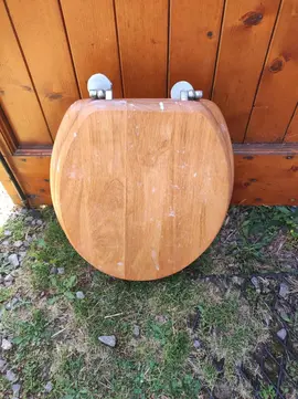 lunette de toilettes