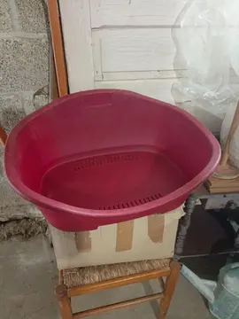 panier pour chien