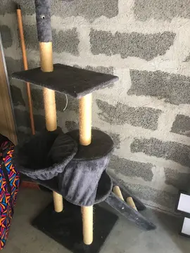 arbre à chat