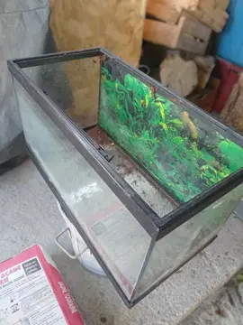 aquarium