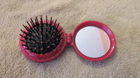 Petite brosse de voyage