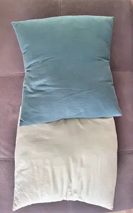 lot de 2 coussins