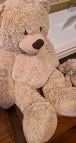 peluche