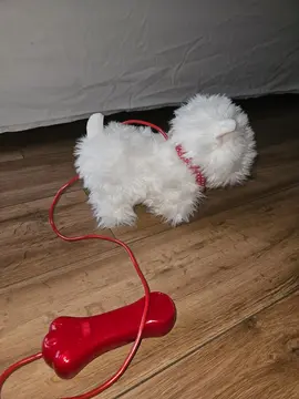 chien peluche