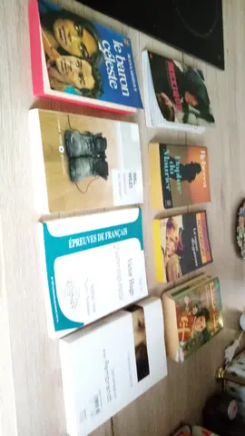 Lot de livres