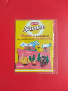 Magnet Vancouver "AMÉRI'MAGNETS