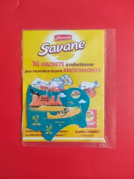 Magnet "Houston" AMÉRI'MAGNETS