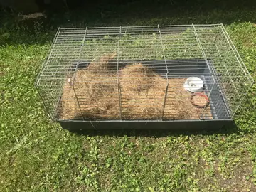 cage pour animaux; lapin, hamster…