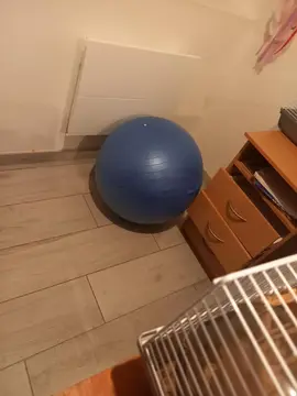 ballon de sport