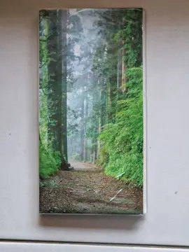 Album photos forêt