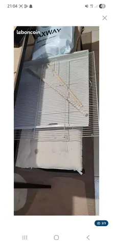cage à oiseau