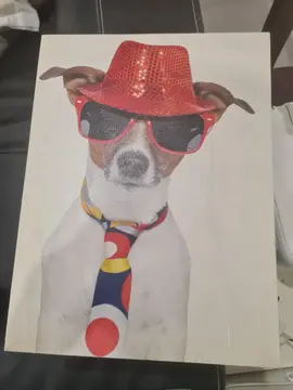 Tableau chien