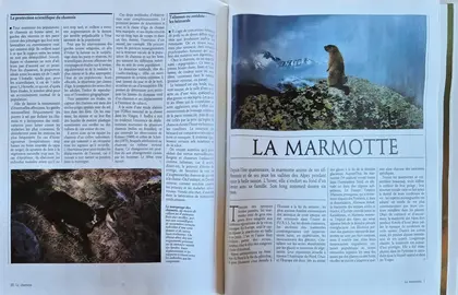 Collection livres Vie Sauvage Larousse
