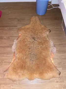 Peau de mouton